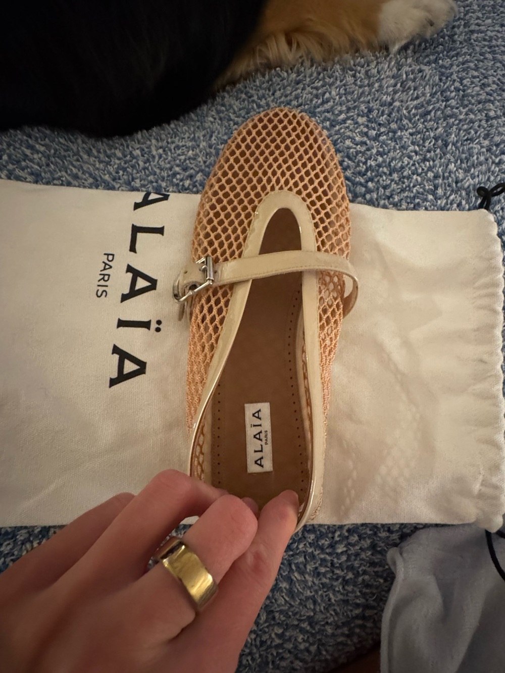 Alaïa Fishnet Ballerina Flat - Picture 11 of 13
